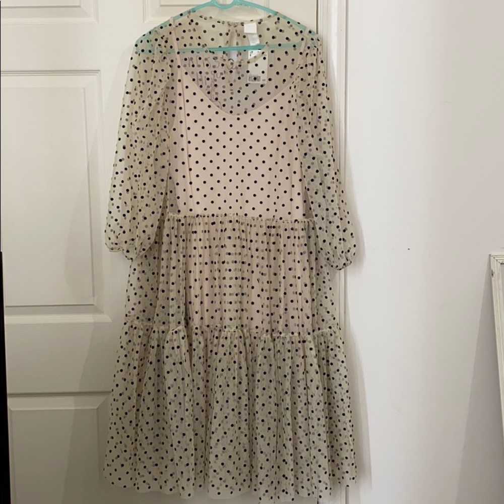 Sheer polka dot dress